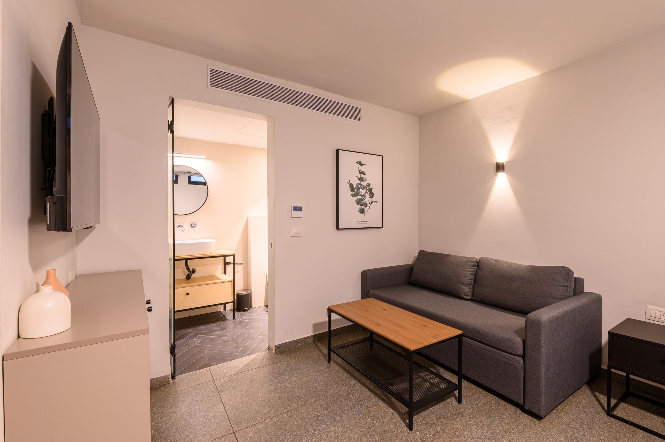 Large One Bedroom